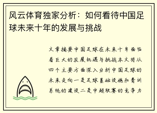 风云体育独家分析：如何看待中国足球未来十年的发展与挑战